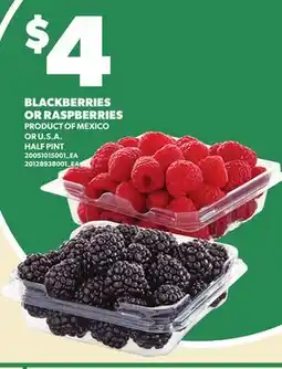Loblaws BLACKBERRIES OR RASPBERRIES offer