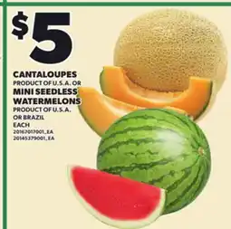 Loblaws CANTALOUPES OR MINI SEEDLESS WATERMELONS offer