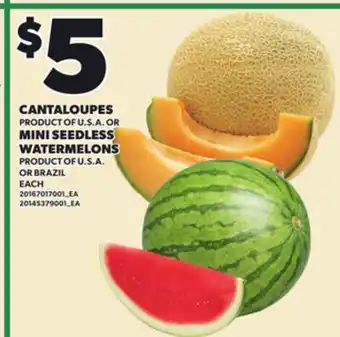 Loblaws CANTALOUPES OR MINI SEEDLESS WATERMELONS offer
