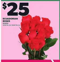 Loblaws ECUADORIAN ROSES, DOZEN offer