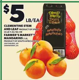 Loblaws CLEMENTINE STEM AND LEAF OR FARMER'S MARKET MANDARINS, 2 LB offer