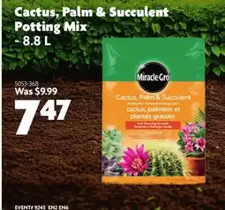Home Hardware Cactus, Palm & Succulent Potting Mix Soil - 8.8 L offer
