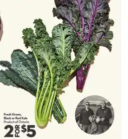 Longo's Fresh Green, Black or Red Kale offer