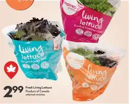 Longo's Fresh Living Lettuce offer