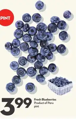 Longo's Fresh Blueberries offer