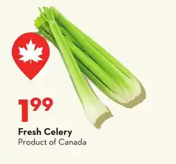 Longo's Fresh Celery offer