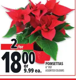 Metro POINSETTIAS offer
