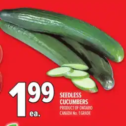 Metro SEEDLESS CUCUMBERS offer