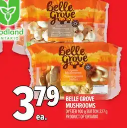 Metro BELLE GROVE MUSHROOMS OYSTER G offer