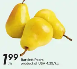 Sobeys Bartlett Pears offer