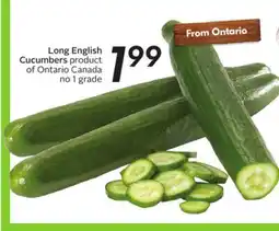 Sobeys Long English Cucumbers offer