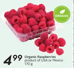 Sobeys Organic Raspberries offer