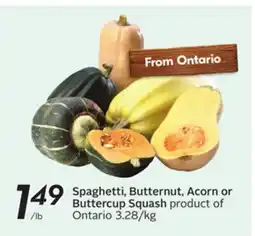 Sobeys Spaghetti, Butternut, Acorn or Buttercup Squash offer