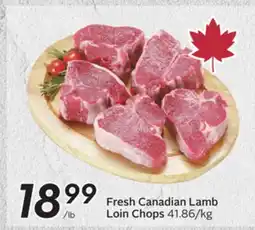 Sobeys Fresh Canadian Lamb Loin Chops offer