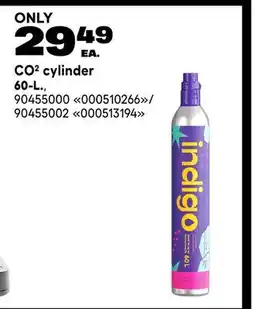 RONA CO² cylinder 60-L offer