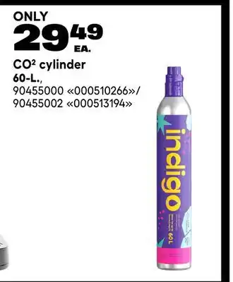 RONA CO² cylinder 60-L offer