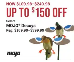 Cabela's MOJO Decoys offer