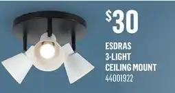 Canac Esdras 3-Light Ceiling Mount offer