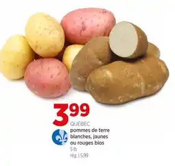 Avril pommes de terre blanches, jaunes ou rouges bios offer