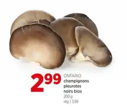 Avril champignons pleurotes noirs bios offer