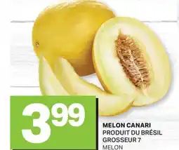 L'Intermarché MELON CANARI | MELON offer