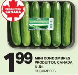 L'Intermarché MINI CONCOMBRES | CUCUMBERS, 6 UN offer
