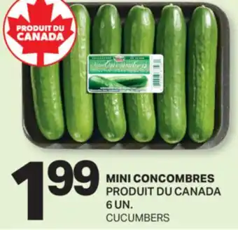 L'Intermarché MINI CONCOMBRES | CUCUMBERS, 6 UN offer