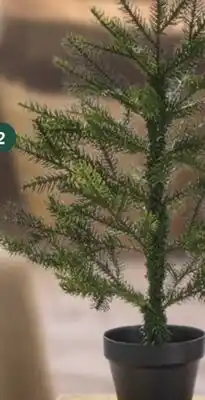 Home Hardware INSTYLE Tabletop mini grandis with pot offer