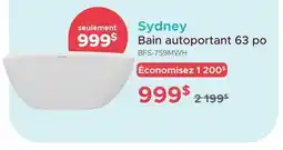 Bath Depot Bain autoportant 63 po Sydney offer