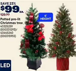 RONA Potted pre-lit Christmas tree offer