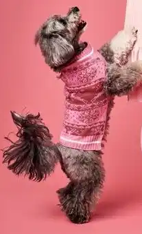 Walmart One Paw holiday dog sweaters offer