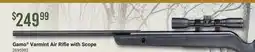 Cabela's Gamo Varmint Air Rifle with Scope offer