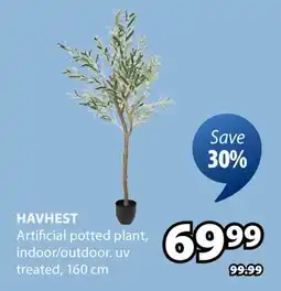 JYSK Havhest Artificial potted plant offer