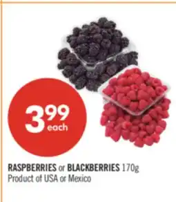 Shoppers Drug Mart RASPBERRIES or BLACKBERRIES offer
