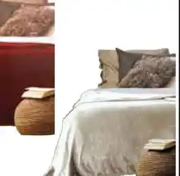 Len's Mill Stores SUPER SOFT FLEECE TWIN BLANKETS offer