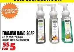 Len's Mill Stores FOAMING HAND SOAP offer
