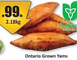 Starsky Ontario Grown Yams offer