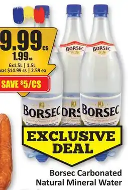 Starsky Borsec Carbonated Natural Mineral Water offer