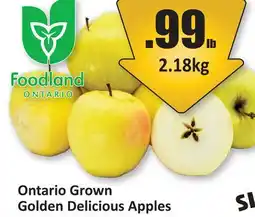 Starsky Ontario Grown Golden Delicious Apples offer