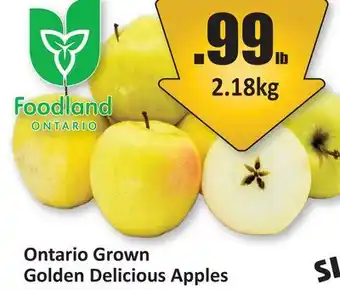 Starsky Ontario Grown Golden Delicious Apples offer