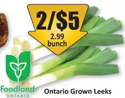 Starsky Ontario Grown Leeks offer
