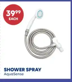 Wellwise by Shoppers SHOWER SPRAY AquaSense offer