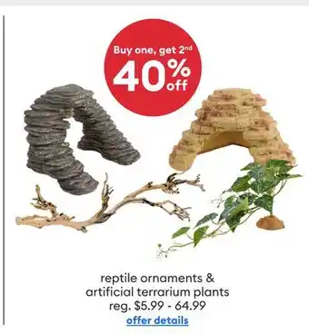 Petsmart Reptile ornaments & artificial terrarium plants offer