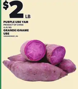 Independent City Market PURPLE UBE YAM offer