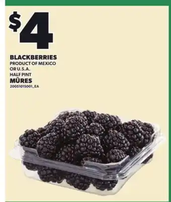 Independent City Market BLACKBERRIES, HALF PINT offer