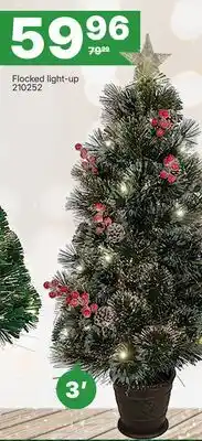 Rossy Flocked light-up offer