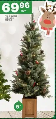 Rossy Pre-lit potted 150 Lights offer