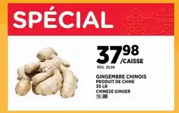 Kim Phat CHINESE GINGER offer