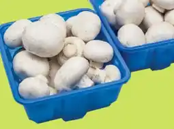 Kim Phat WHITE MUSHROOMS offer