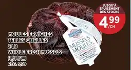 Kim Phat WHOLE FRESH MUSSELS offer